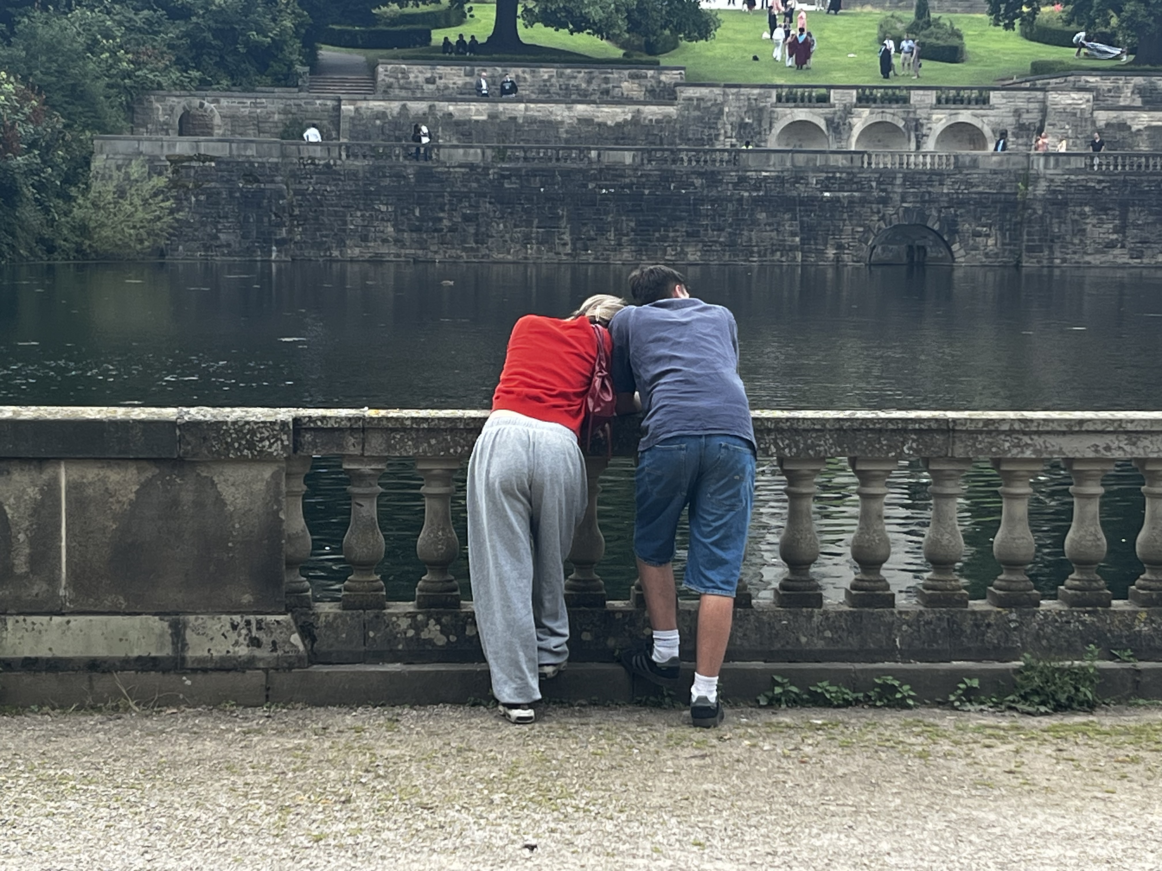 Empty Nest